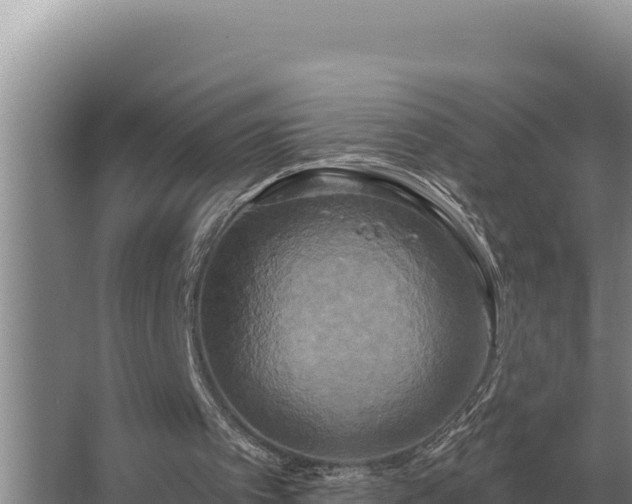 X0000067390097200604071804