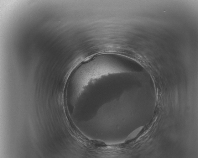 X0000067390099200604071804