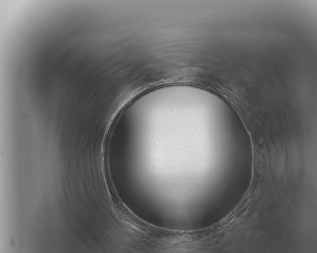 X0000067390100200604071804