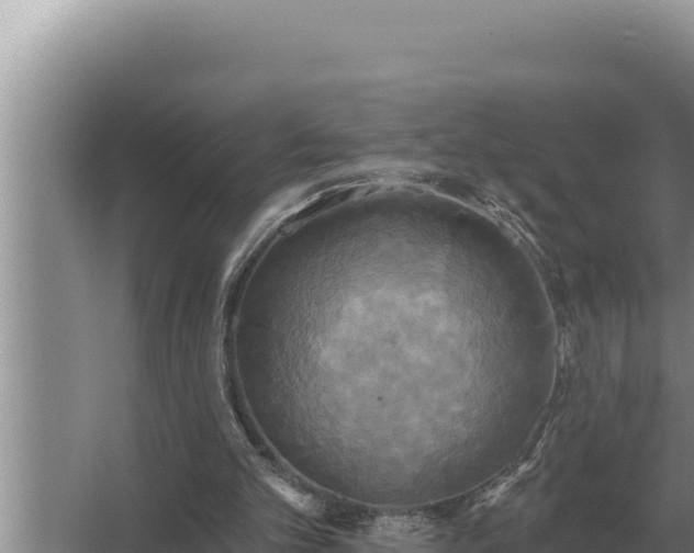 X0000067390101200604071804