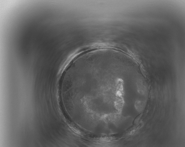 X0000067390103200604071804