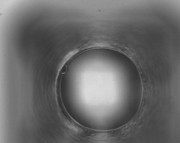 X0000067390104200604071804