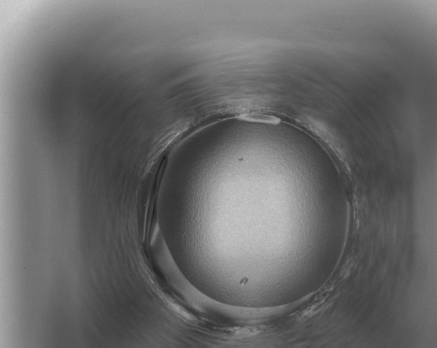 X0000067390105200604071804