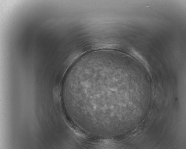 X0000067390107200604071804