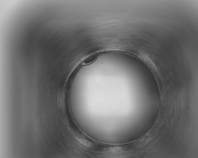 X0000067390108200604071804