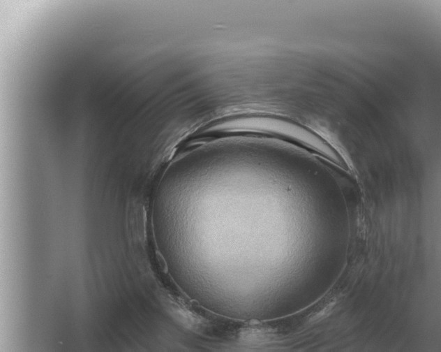 X0000067390109200604071804