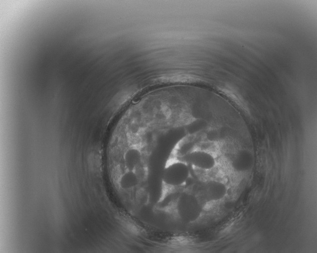 X0000067390111200604071804