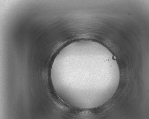 X0000067390112200604071804