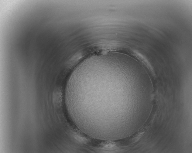 X0000067390113200604071804