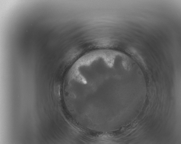 X0000067390115200604071804