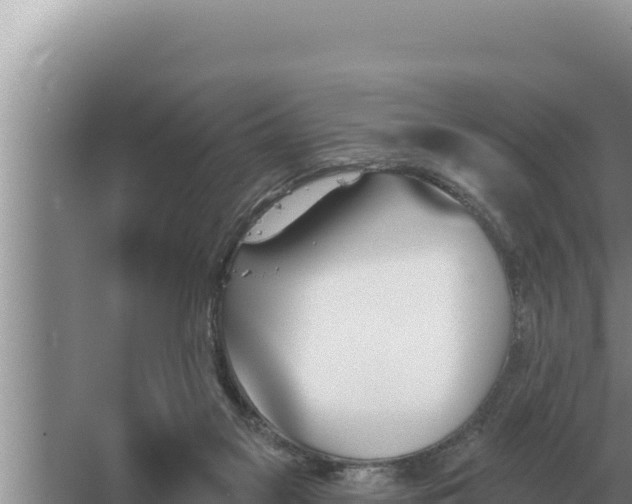 X0000067390117200604071804