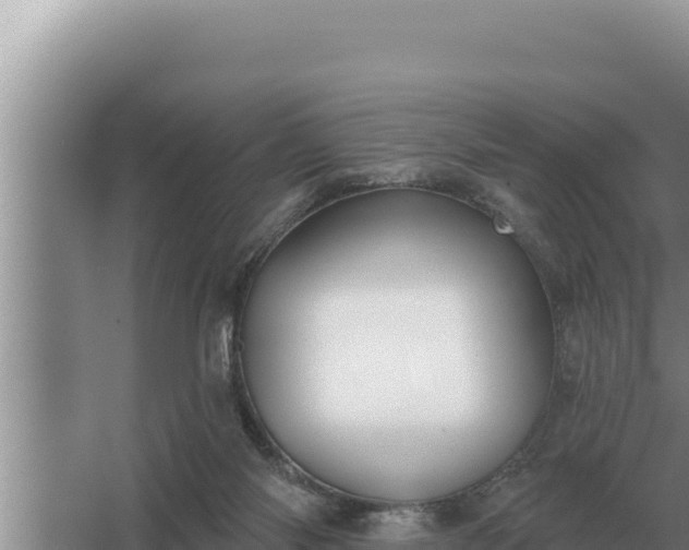 X0000067390118200604071804