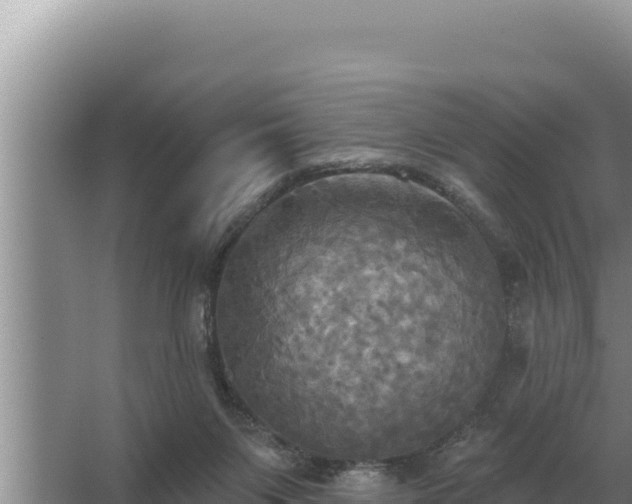 X0000067390119200604071804