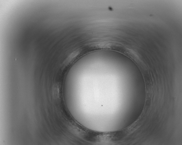 X0000067390120200604071804