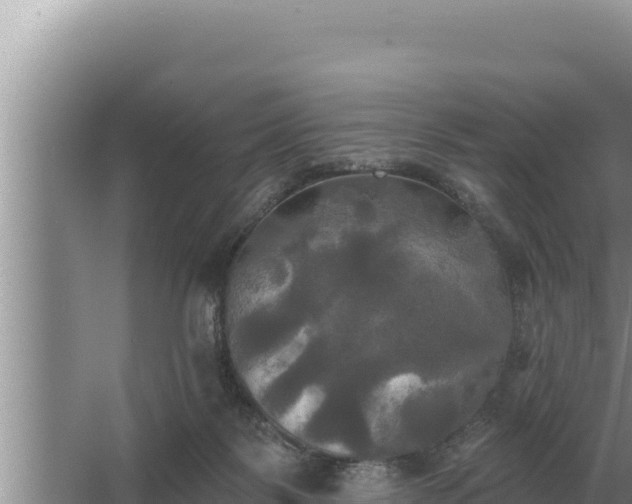 X0000067390123200604071803