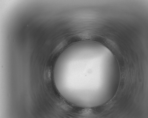 X0000067390124200604071803