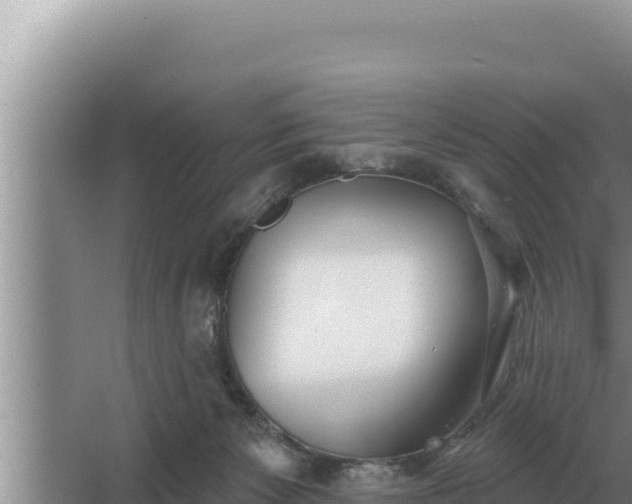 X0000067390125200604071803