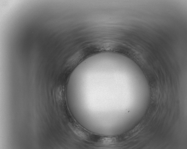 X0000067390126200604071803