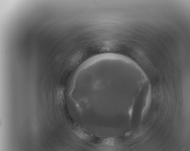 X0000067390127200604071803