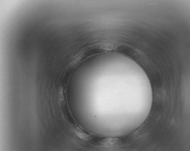 X0000067390128200604071803