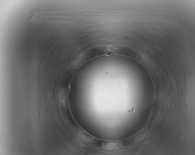 X0000067390129200604071803