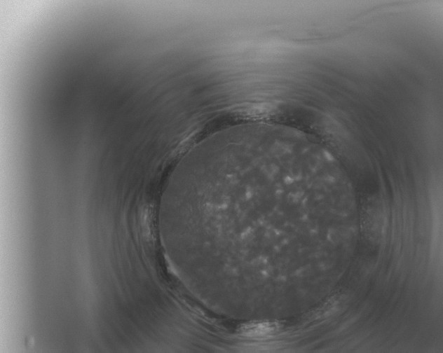 X0000067390131200604071803