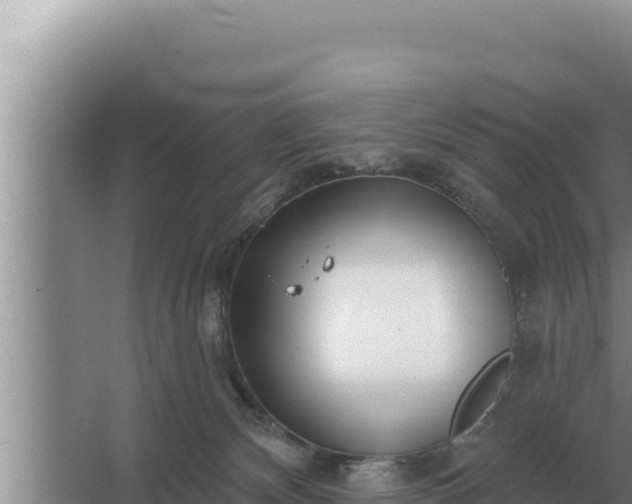 X0000067390132200604071803