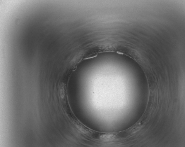 X0000067390133200604071803