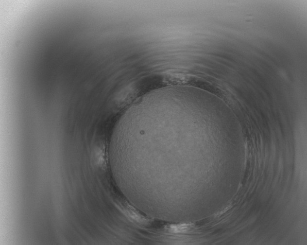 X0000067390134200604071803