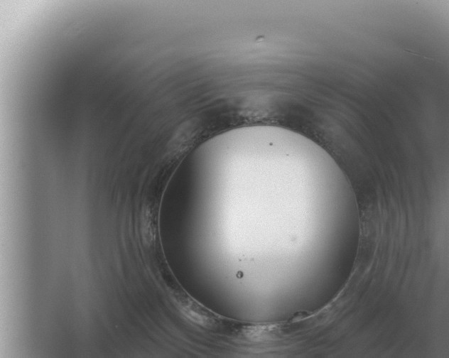 X0000067390136200604071803