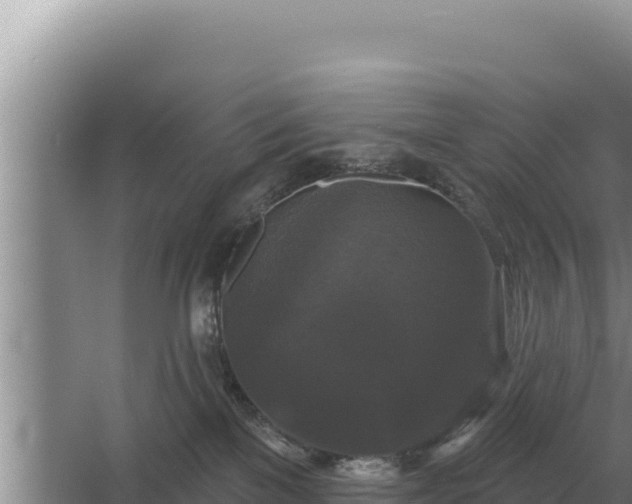 X0000067390137200604071803