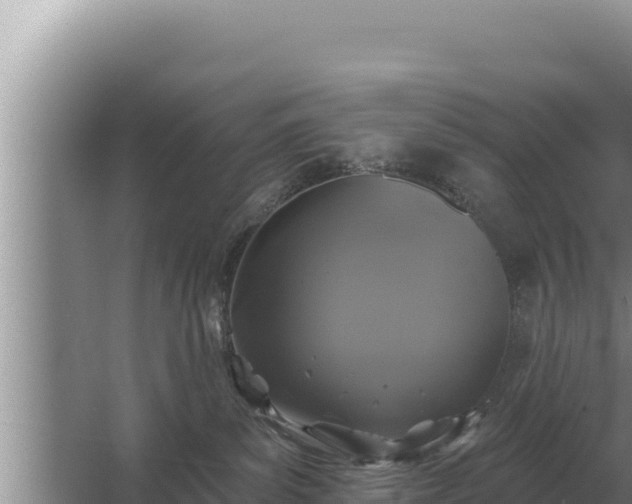 X0000067390139200604071803