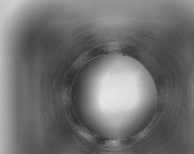 X0000067390140200604071803