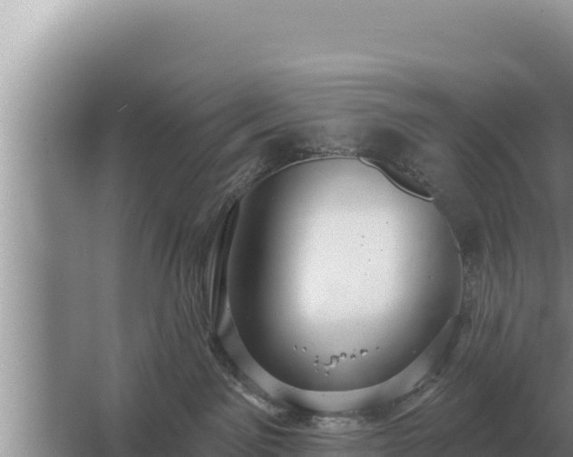 X0000067390141200604071803