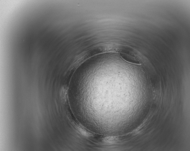 X0000067390142200604071803