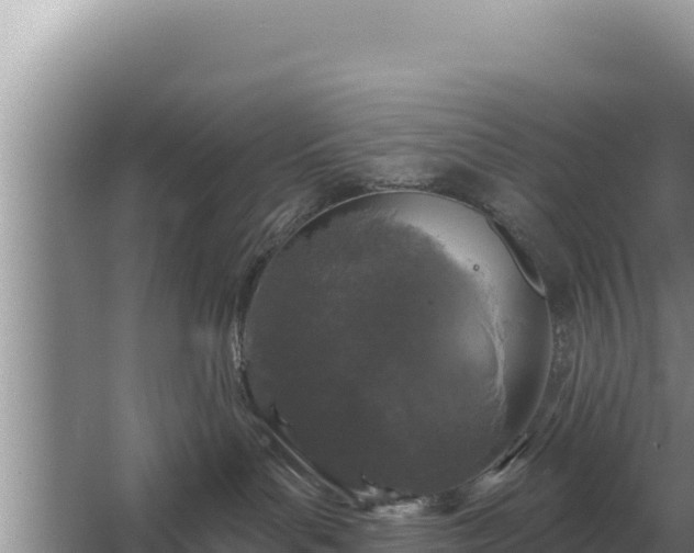 X0000067390143200604071803