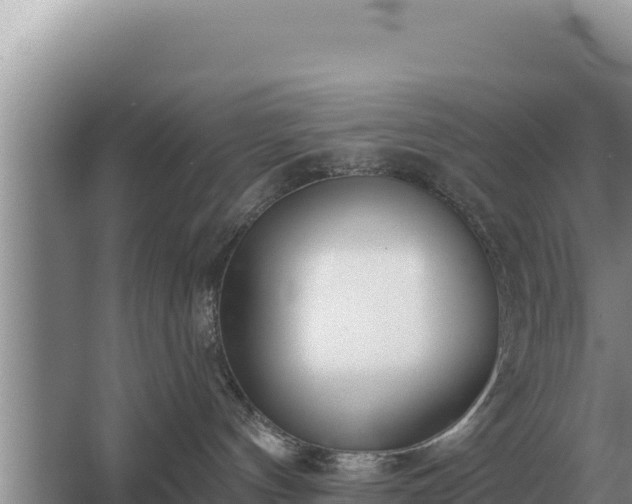 X0000067390144200604071803