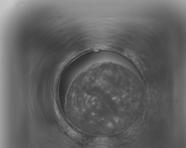 X0000067390145200604071802