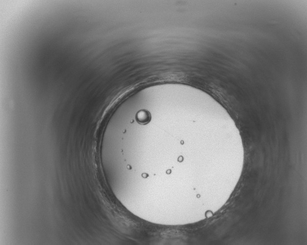 X0000067390146200604071802