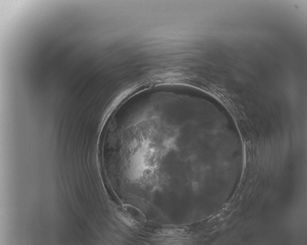 X0000067390147200604071802