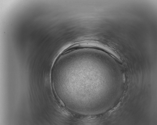 X0000067390148200604071802