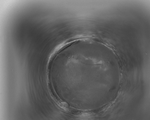 X0000067390149200604071802