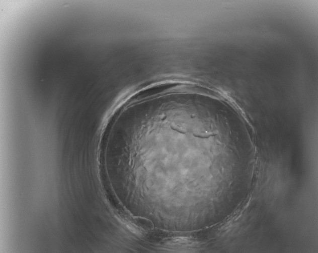 X0000067390151200604071802