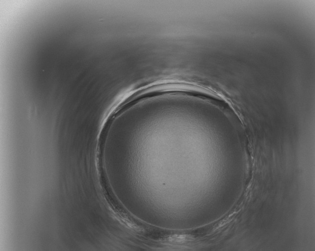 X0000067390152200604071802