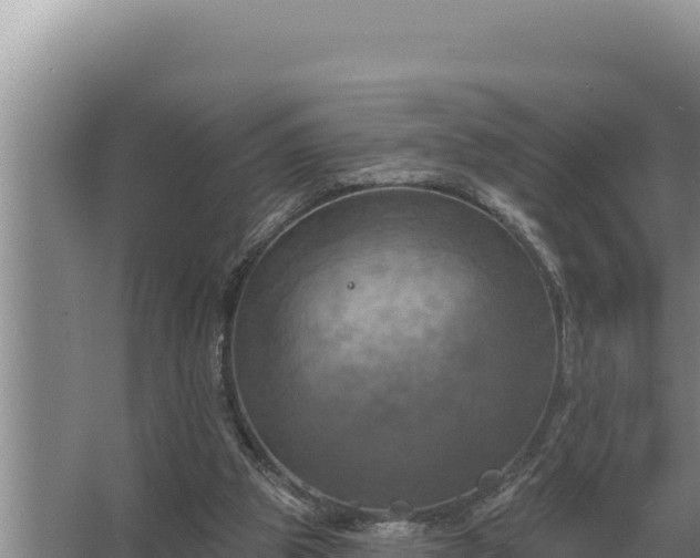 X0000067390153200604071802