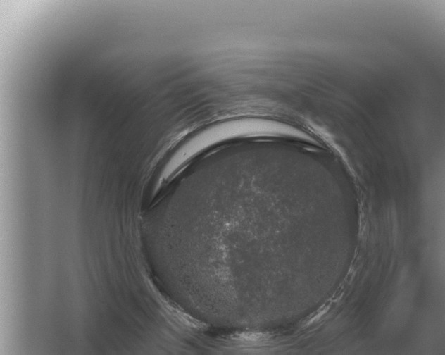 X0000067390154200604071802