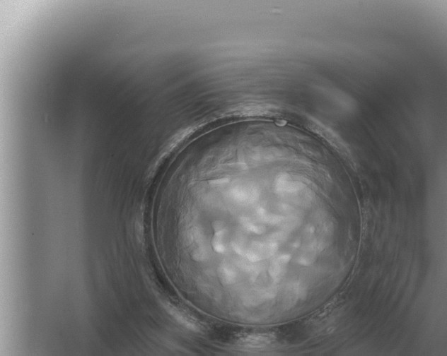 X0000067390155200604071802