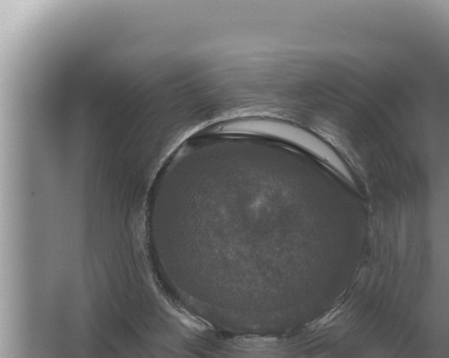 X0000067390156200604071802