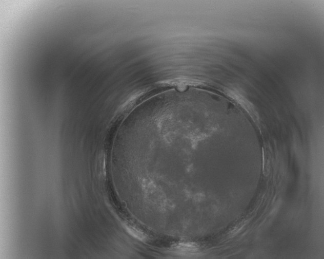 X0000067390157200604071802