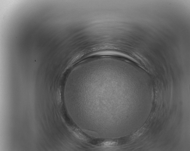 X0000067390158200604071803